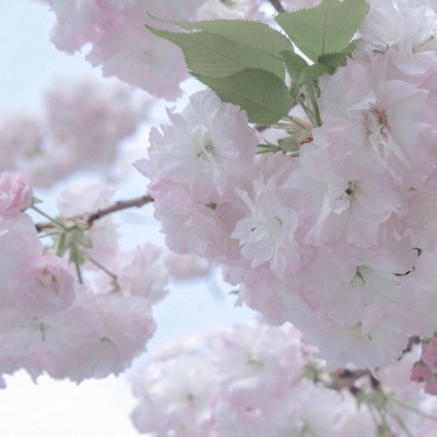 兽设城市场景创作兽圈社群